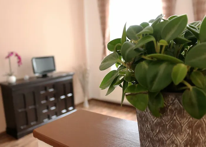 Luisenstrasse شقة غورليتز